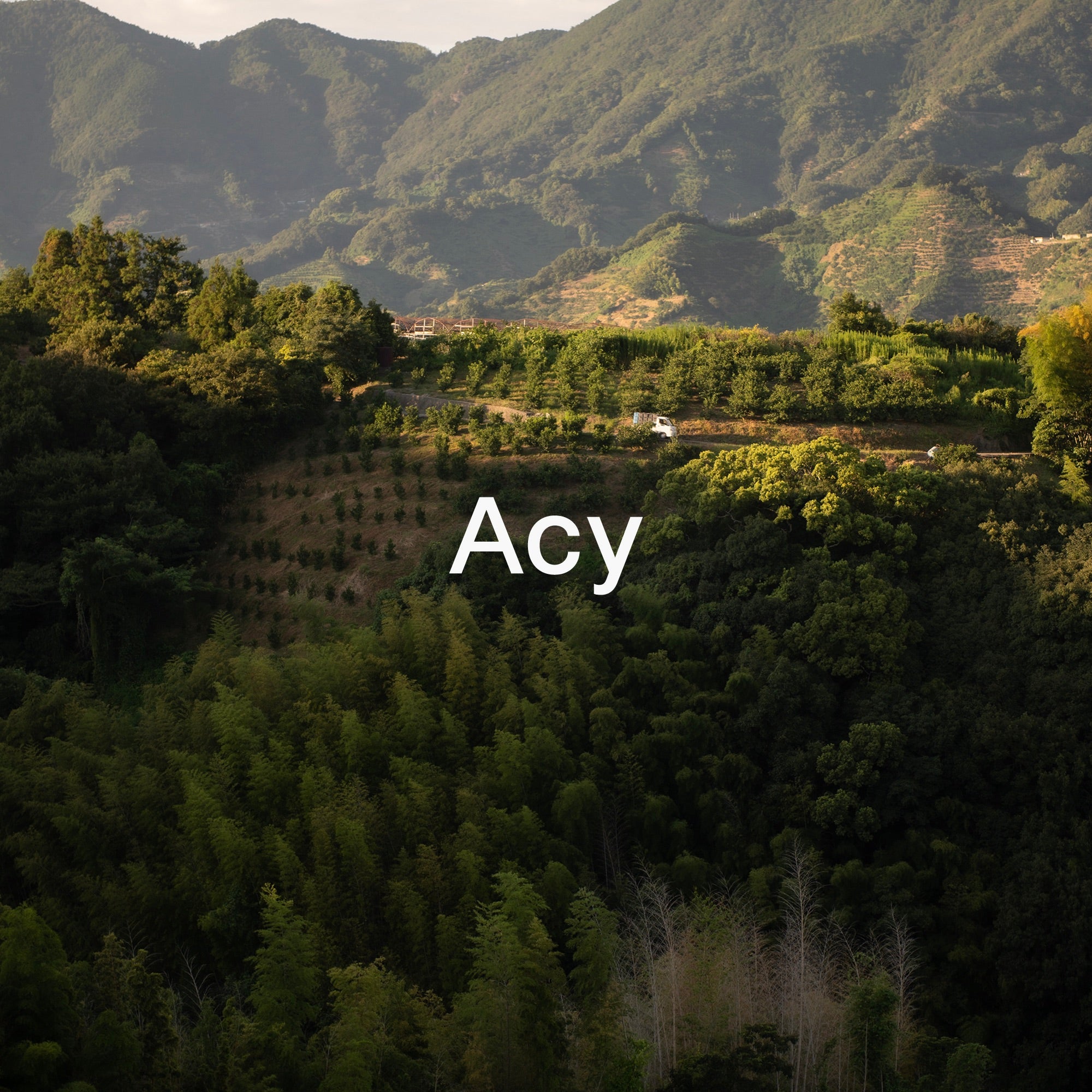 Acy 23AW