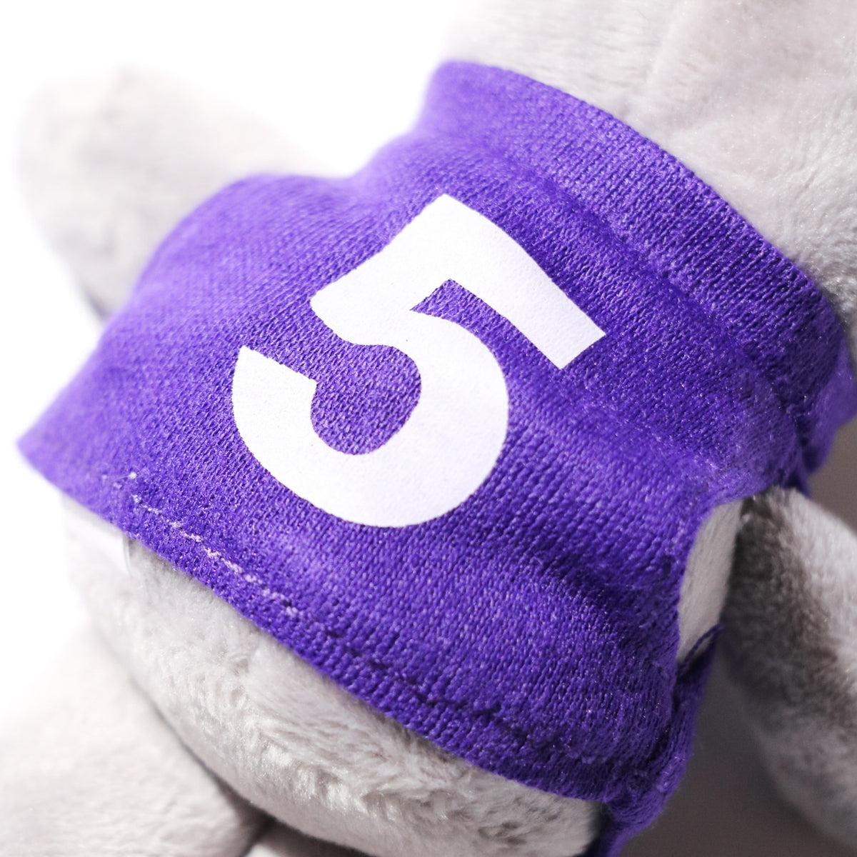 CCTB / 5year Dog PURPLE