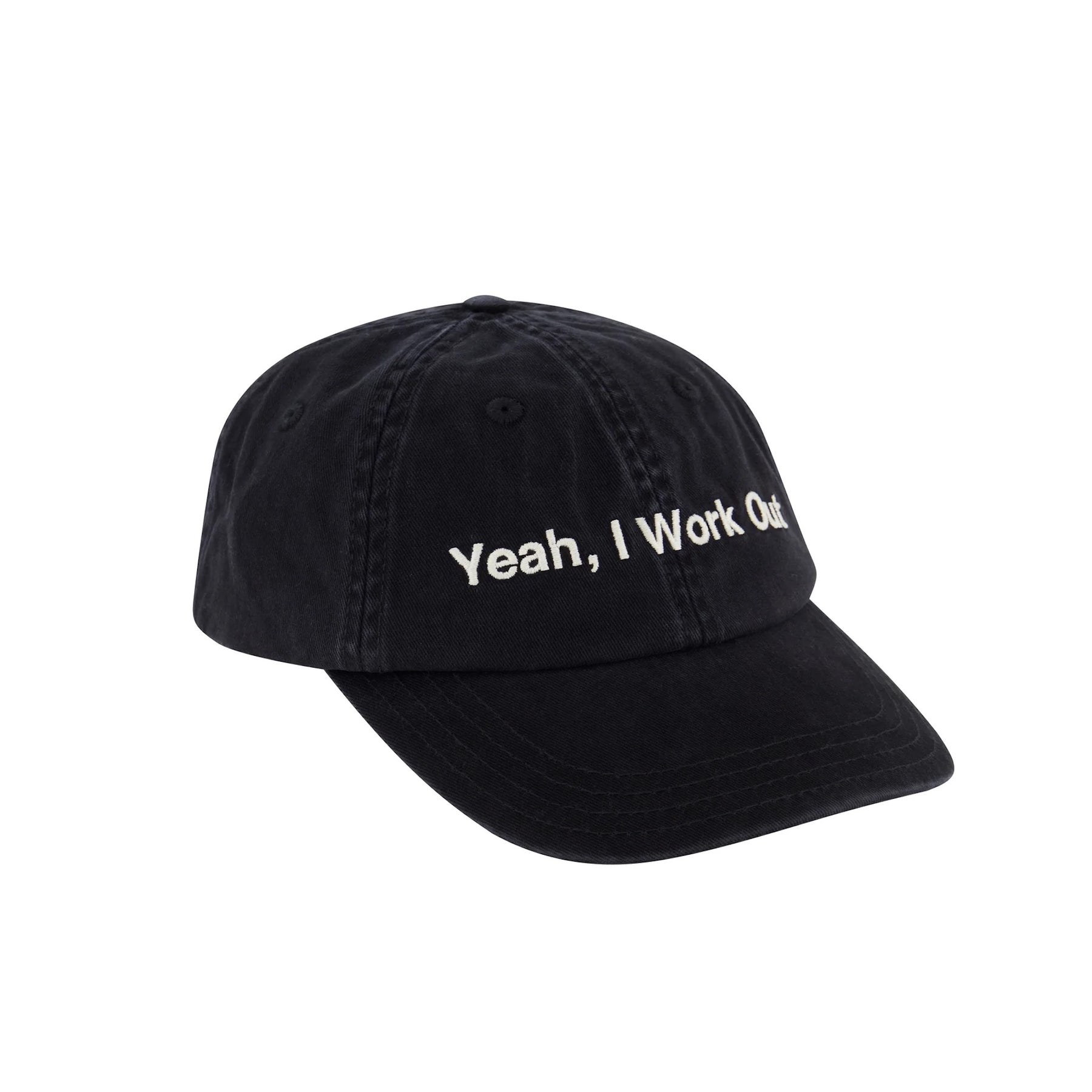 Y,IWO / Hardwear Dad Hat BLACK