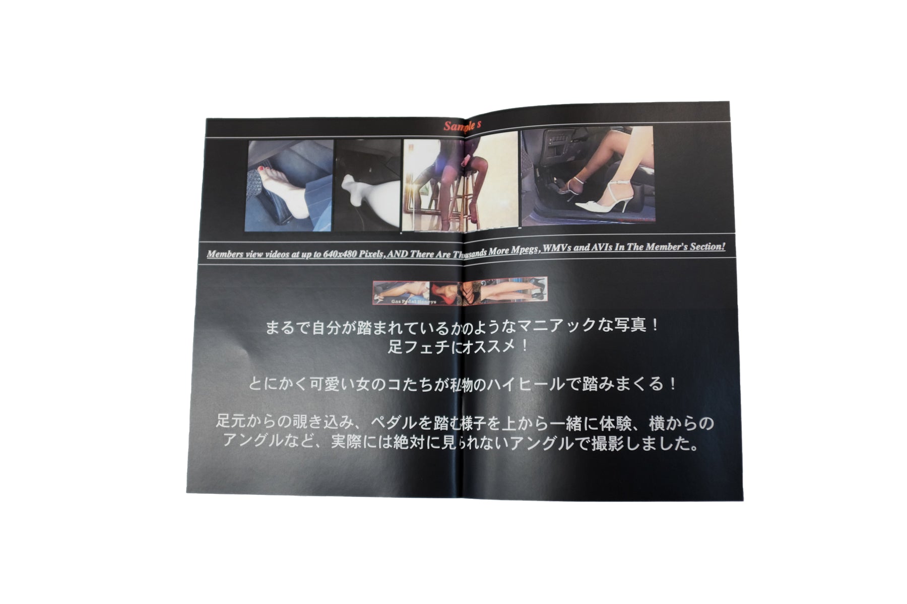 WHITEHOUSE3000 / BILLIE SHIRT LS T 2 ウィーンとベルリンを拠点とする気鋭フォトグラファー兼スケーターであるLUKAS GANSTERERが立ち上げたブランド【WHITEHOUSE3000】。前回のワンちゃんシリーズも好評でしたが、今回もブッ飛ばしてます。 【Gas Pedal Honeys】と銘打ち、足フェチシリーズですw まるで自分が踏まれているかのようなマニアックな写真!足フェチにオススメ!とにかく可愛い女の子が私物のハイヒールで踏みまくる!足元からの覗き込み、ペダルを踏む様子を上から一緒に体験、横からのアングルなど、実際には見られないアングルを撮影しています。同人誌中身画像。