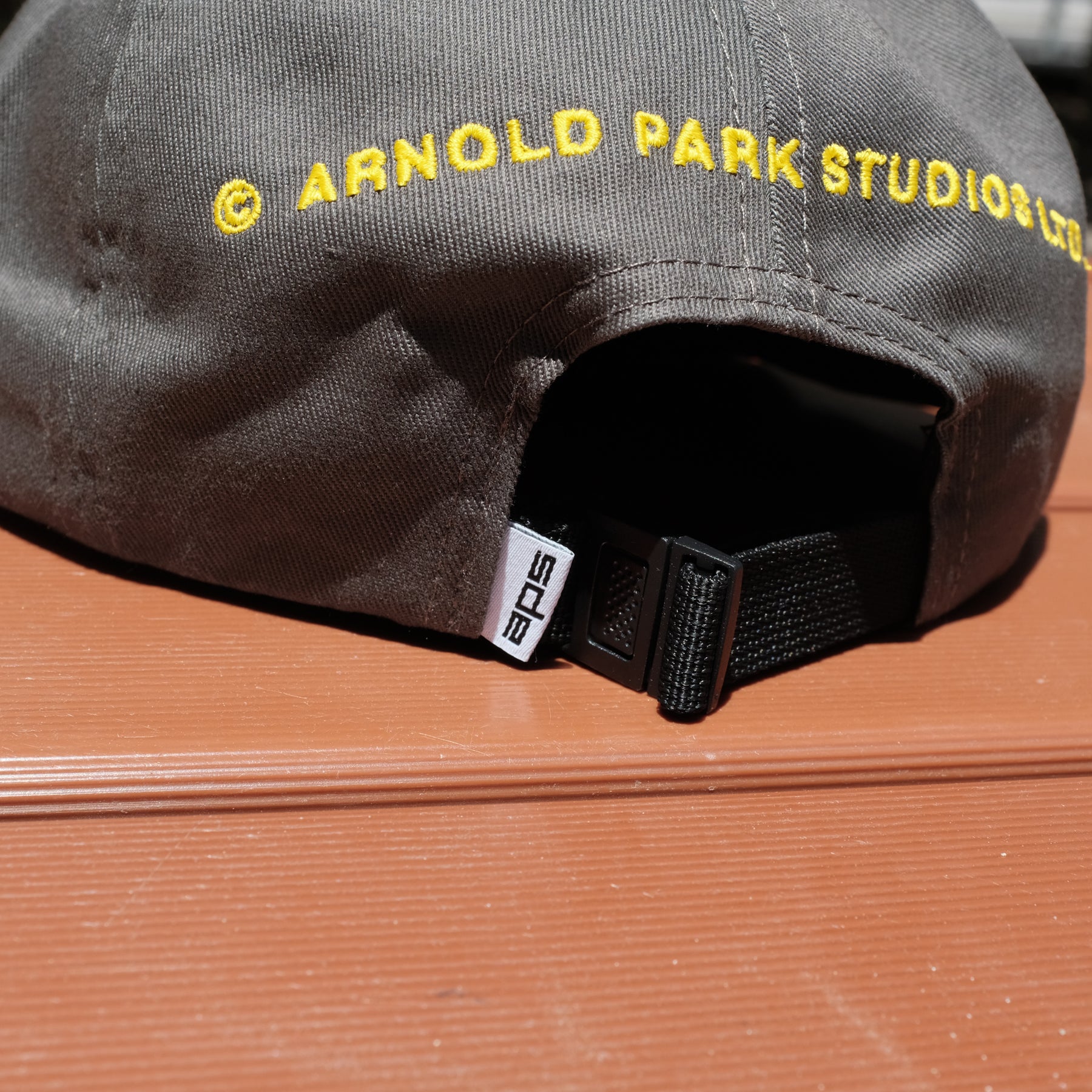 ARNOLD PARK STUDIOS / FAERIE LOGO CAP CHARCOAL
