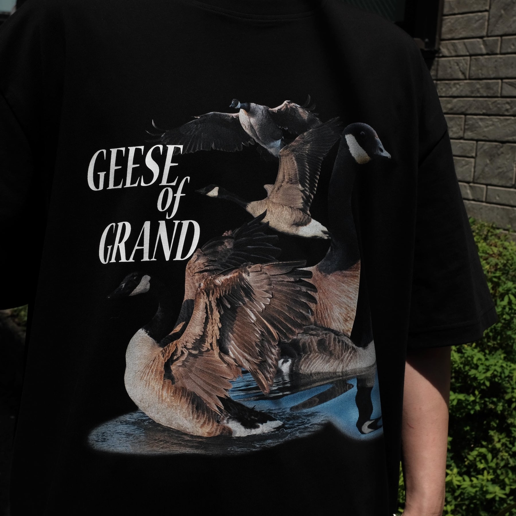 Grand Collection / GEESE OF GRAND T BLACK