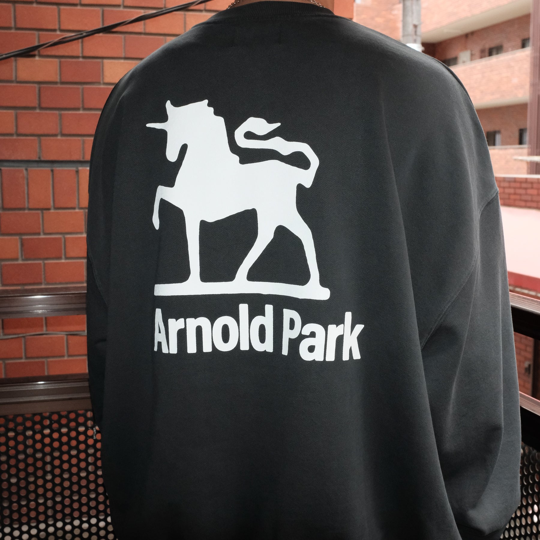 <span style="color: #f50b0b;">Last One</span> ARNOLD PARK STUDIOS / FOUNDATION LOGO CREW FADED BLACK