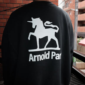 <span style="color: #f50b0b;">Last One</span> ARNOLD PARK STUDIOS / FOUNDATION LOGO CREW FADED BLACK