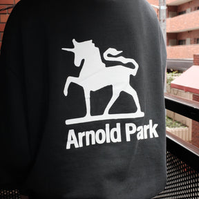 <span style="color: #f50b0b;">Last One</span> ARNOLD PARK STUDIOS / FOUNDATION LOGO HOODIE FADED BLACK