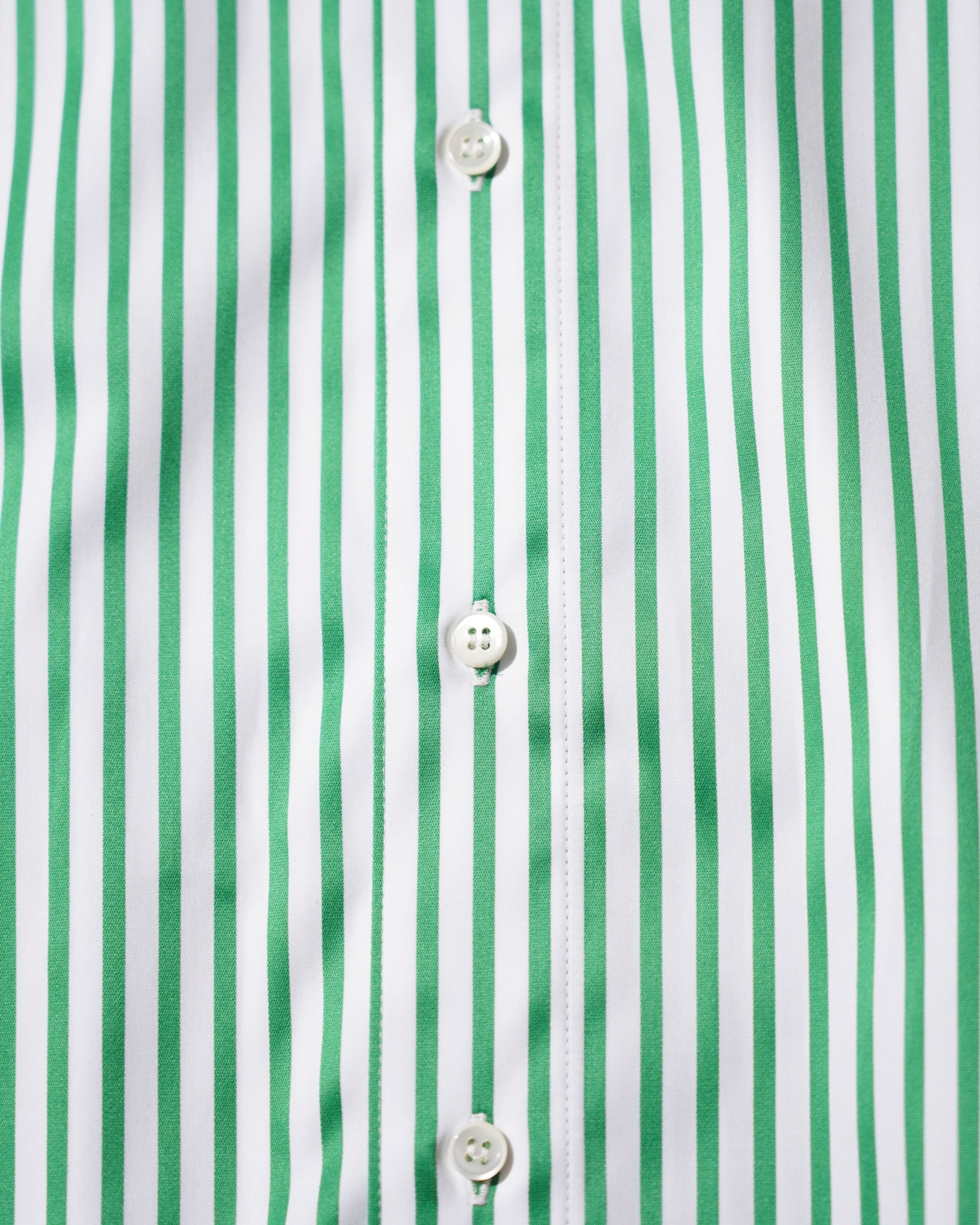 <span style="color: #f50b0b;">Last One</span> TENDER PERSON / STRIPE DRESS SHIRT GREEN STRIPE