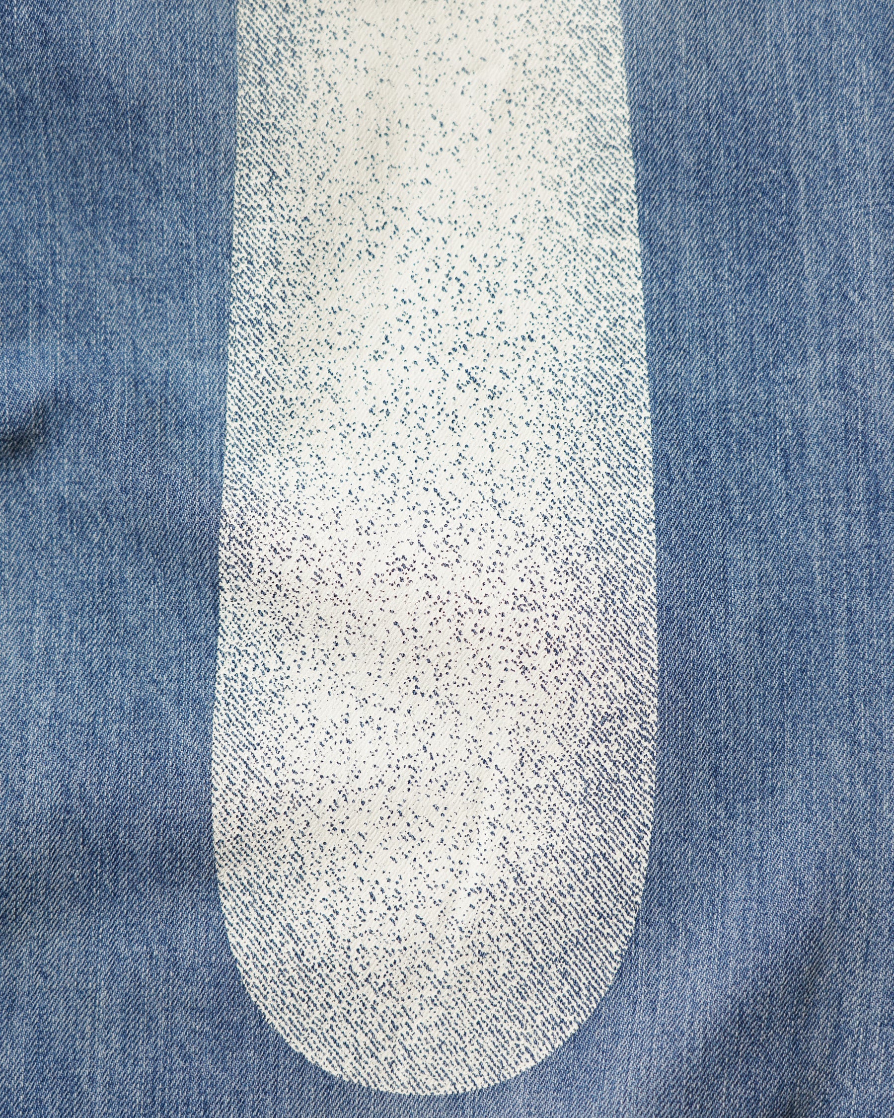EVISU / HT,  ECRU DAICOCK PRINTED JEANS WHITE-LOOSE FIT MID TONE INDIGO